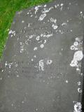 image of grave number 161511